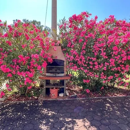 Viola One Novigrad Istria