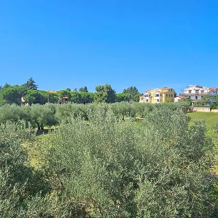 Viola One Διαμέρισμα *