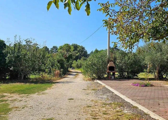 Διαμέρισμα Viola One *