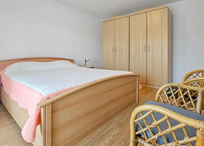 Viola One Novigrad Istria