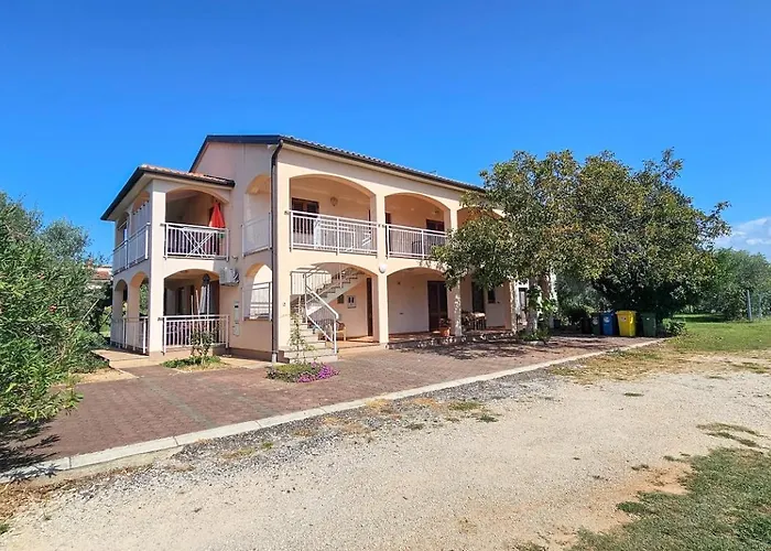 Viola One * Novigrad Istria