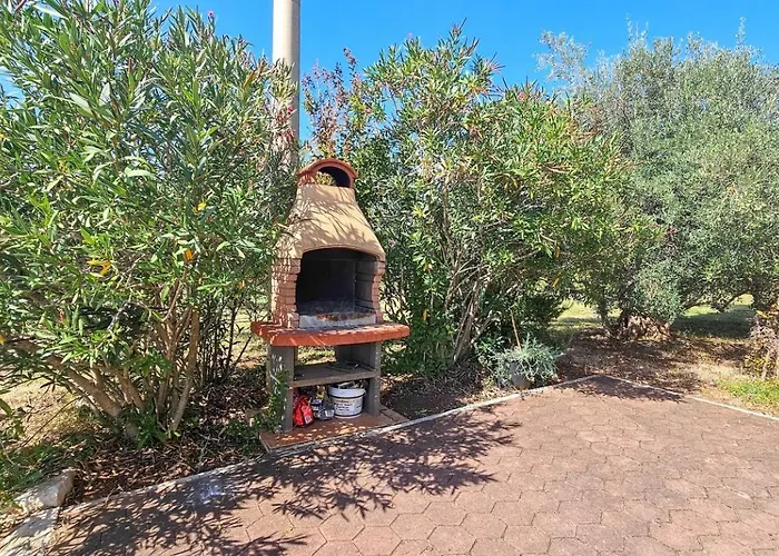 Viola One * Novigrad Istria