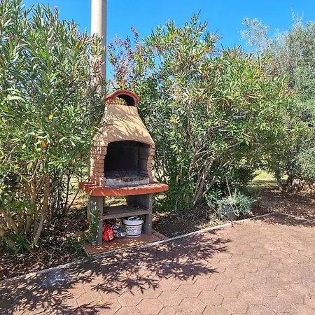 Viola One * Novigrad Istria