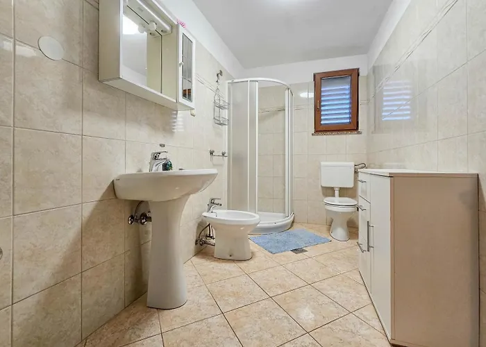 Viola One Novigrad Istria